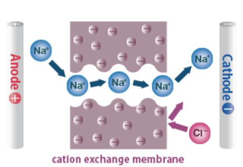 Homogeneous cation exchange membrane